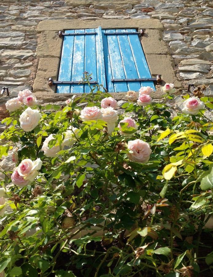 L'Autre Maison Saint-Jean-de-Ceyrargues エクステリア 写真